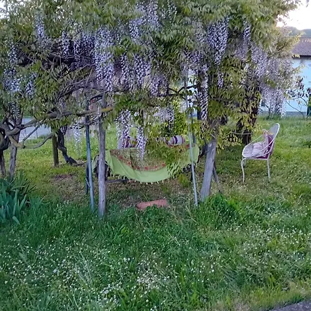 Casa Camugno - Dalle Colline Al Mare * Montechiaro D'acqui
